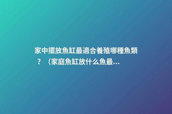 家中擺放魚缸最適合養殖哪種魚類？（家庭魚缸放什么魚最好）